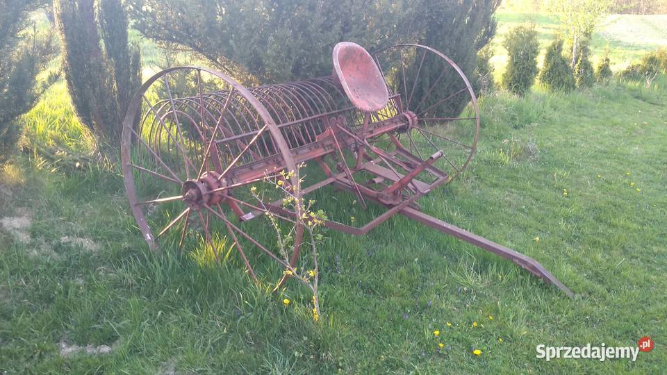 Grabarka konna Czudec sprzedam