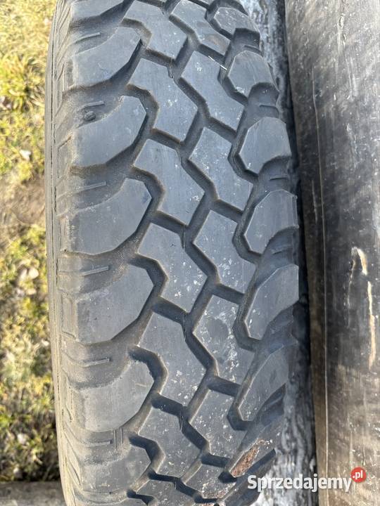 Opony mazowieckie Zbuczyn