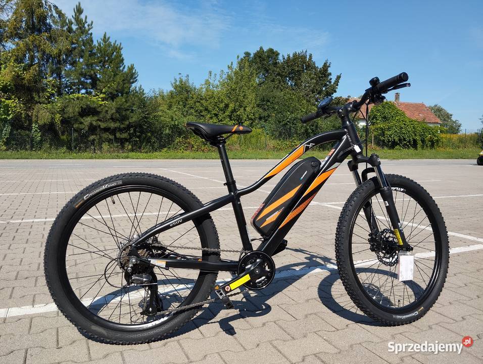 Rower elektryczny Prophete Rex Graveller 104Ah