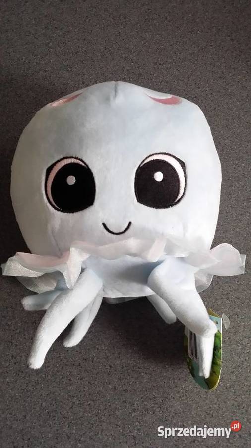 Nowynieużywany Magiczny swojak śląskie Gliwice