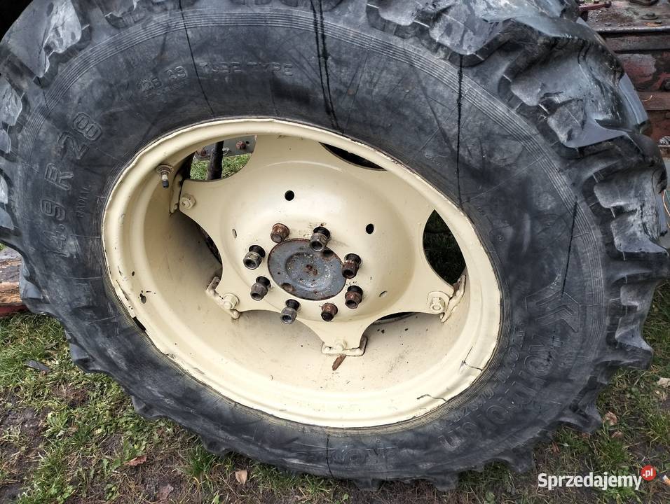 C360 ursus koła Żurawnica