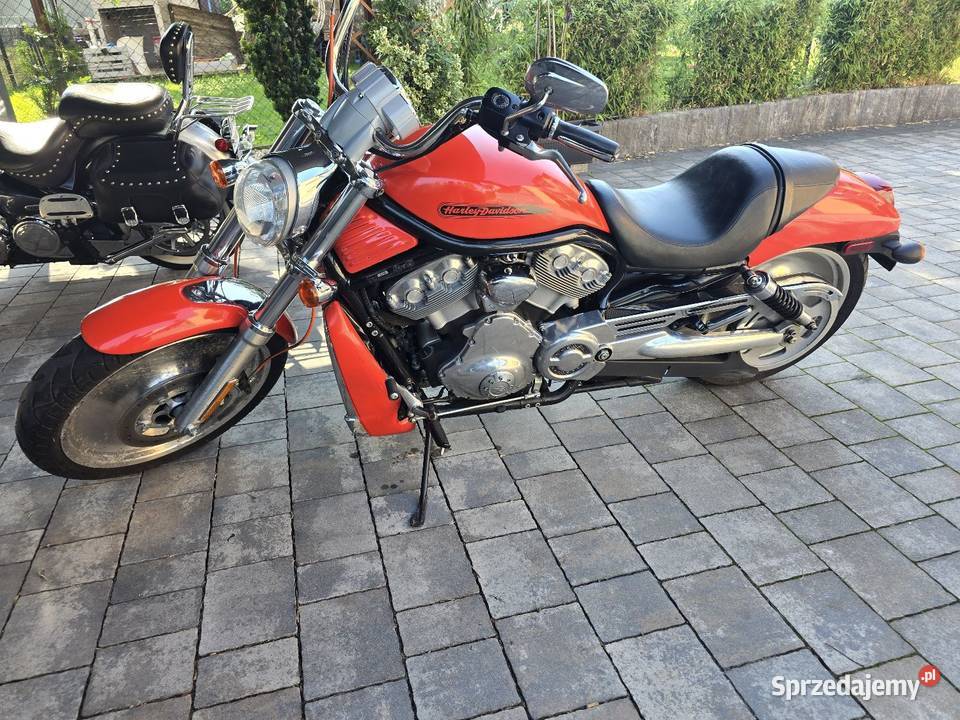 Harley Davidson Vrod 1130 Brzesko sprzedam