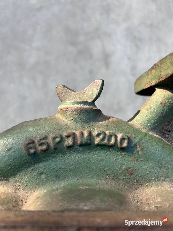 Pompa jednostopniowa monoblokowa 65PJM200 z wielkopolskie Śmigiel