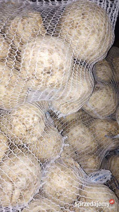 Seler myty 500 małopolskie Malkowice