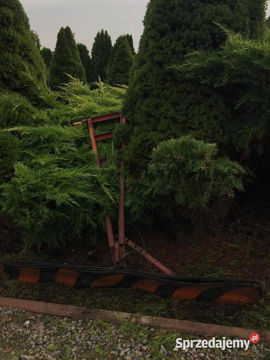 Buggy z pługiem 10km Łukowica