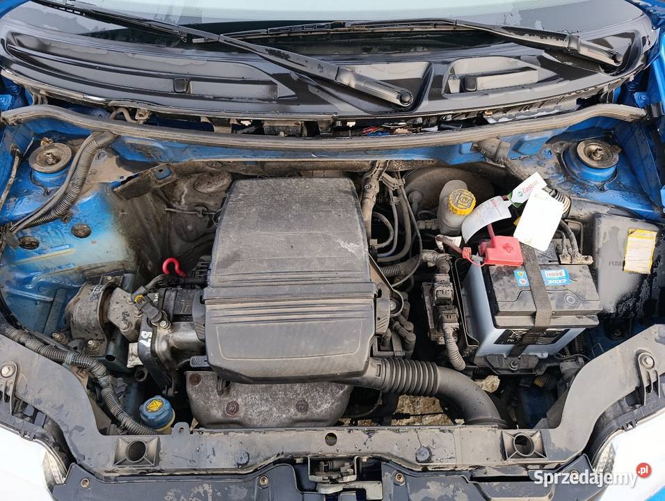 Panda super stan Hatchback wielkopolskie Śrem sprzedam