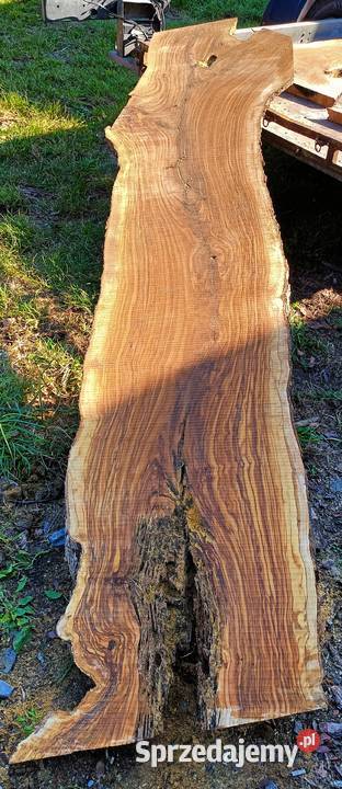 Oliwkadeskiplastry pieńki Mielec