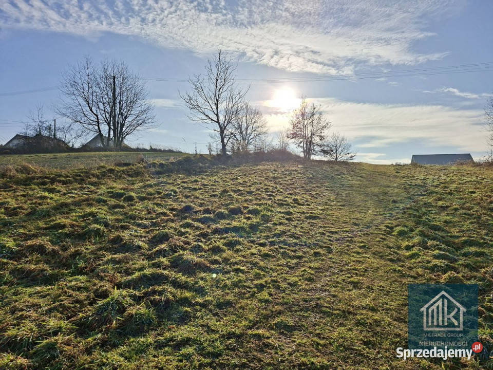 Działka 1166 metrów Szarów sprzedam
