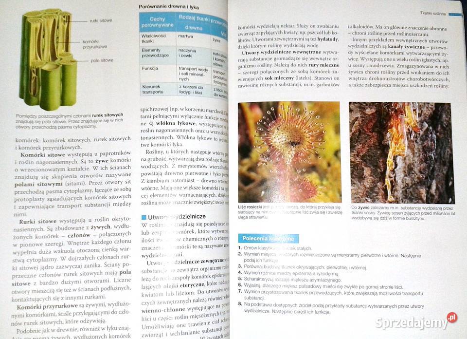 Biologia na czasie 1 Podręcznik Zakres Pozostałe Chełm sprzedam
