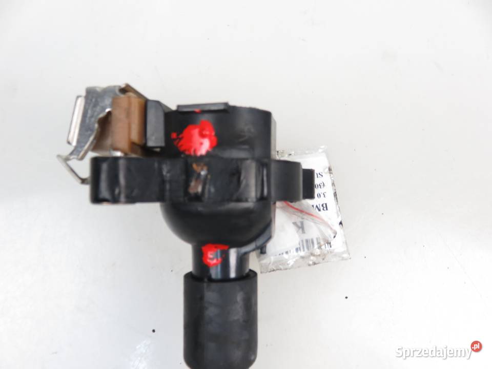 CEWKA BMW X5 E53 30 i 231 M54 B30 1748017 sprzedam