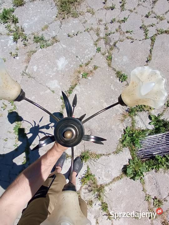 Żyrandol trzy ramienny kłos Jelenia Góra sprzedam