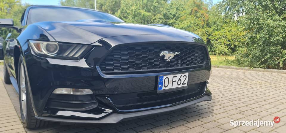 Ford Mustang Cabrio 2015 37 v6 Mustang Opole