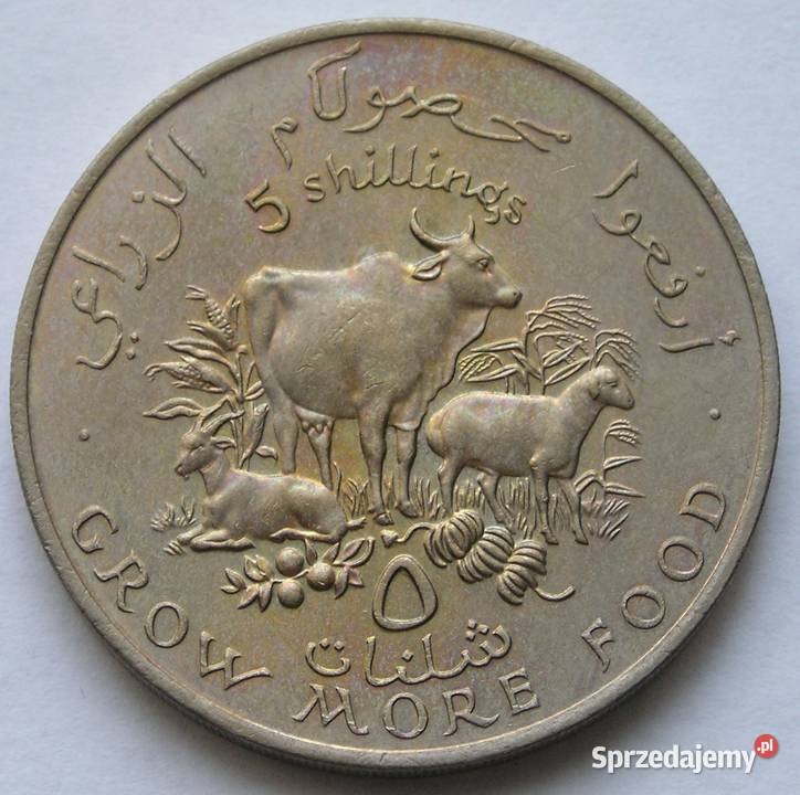 SOMALIA 5 SHILLING 1970 GROW MORE FOOD STAN 12 Łódź sprzedam