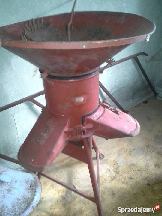 Śrutownik bijakowy bąk kilka sztuk Konina