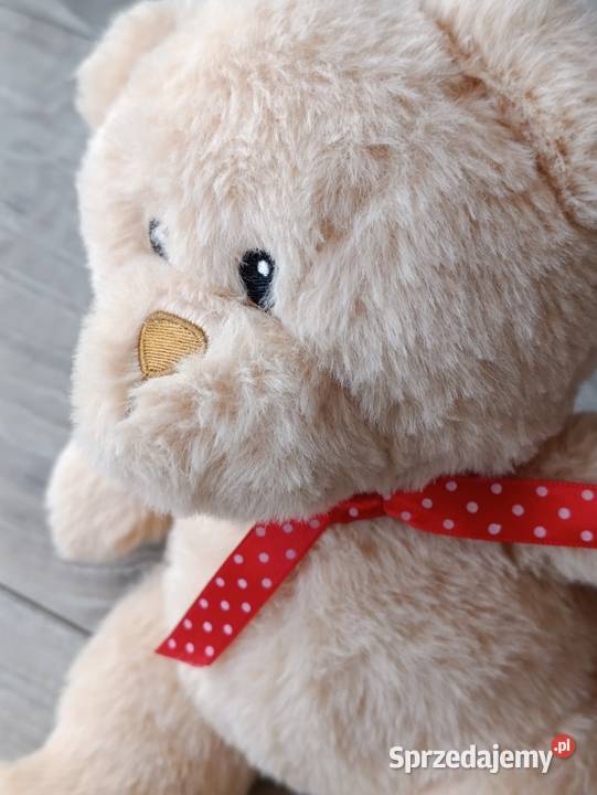 miś pluszak sprzedam wielkopolskie Poznań