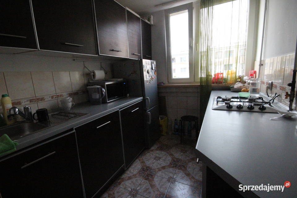 3pok 56met Gajowej LOGGIAPIWNICA Wrocław 56m2