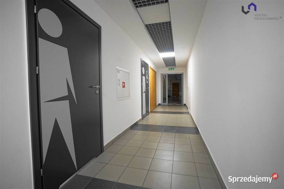 wynajmu lokalu 463 metry Katowice