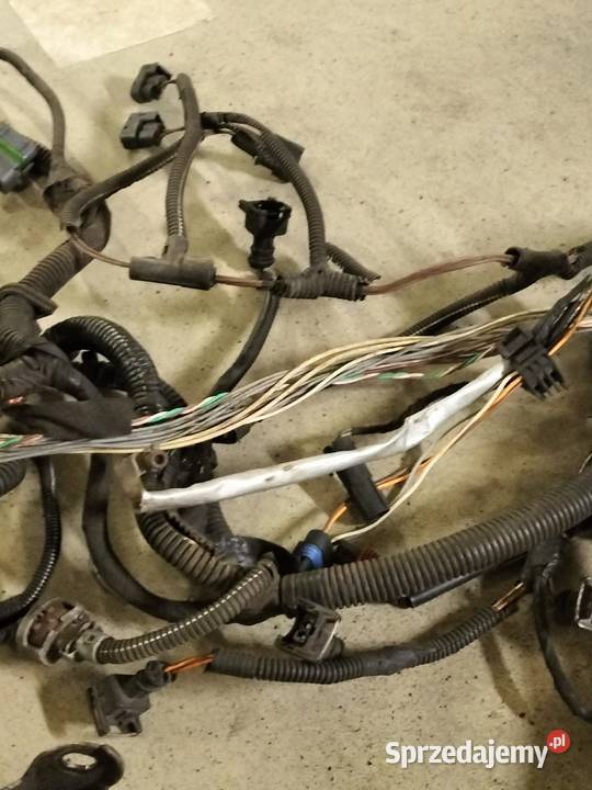 Przewody Wiązka elektryczne Renault laguna 2 II Warszawa