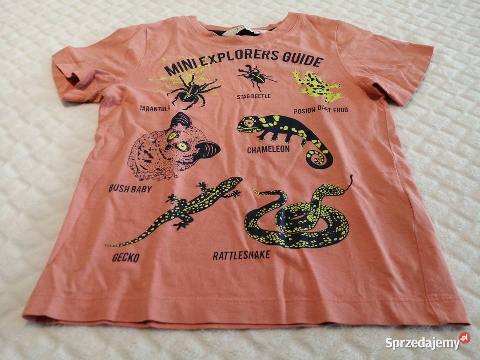 Koszulka krótki rękaw łososiowa 98104 HM Odzież Czeladź