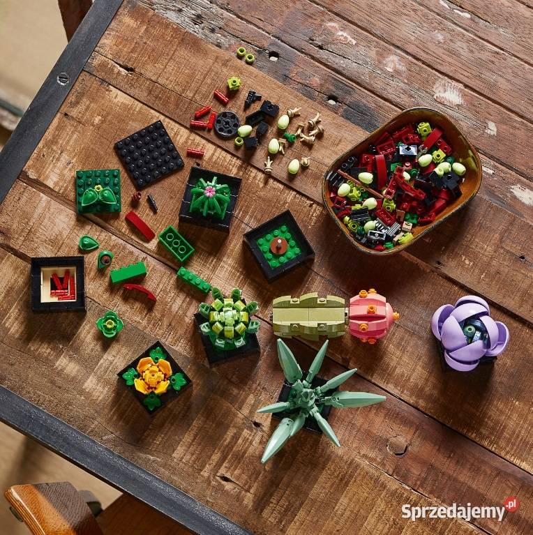 LEGO ICONS 10309 Sukulenty mazowieckie