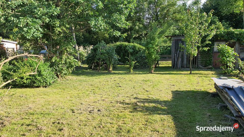 Działka ROD Plażowy w Białymstoku 600m2 domek Białystok sprzedam