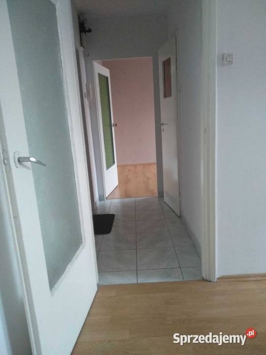 2pok 32met Budziszyńskiej BALKONPIWNICAWINDA dolnośląskie Wrocław