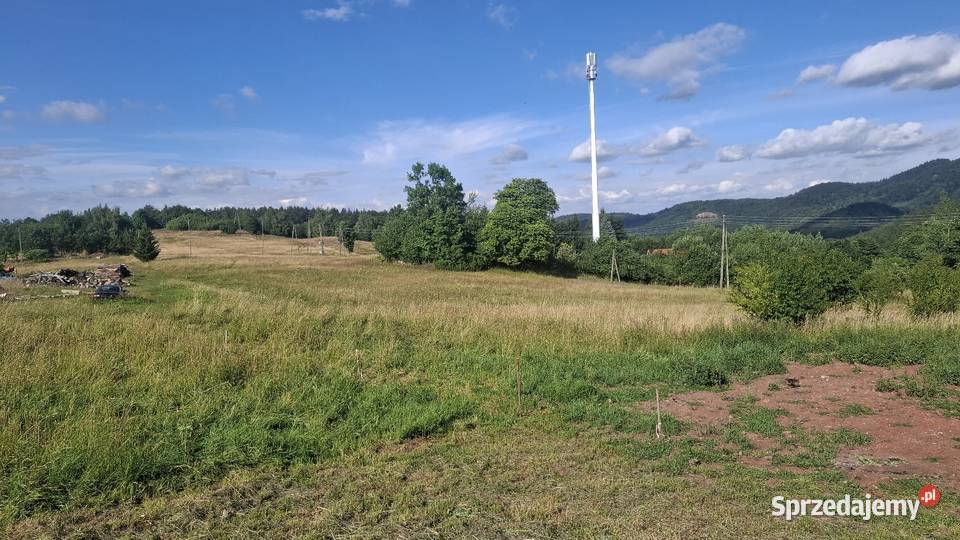 Sprzedam działkę budowlaną Sprzedaż Wałbrzych