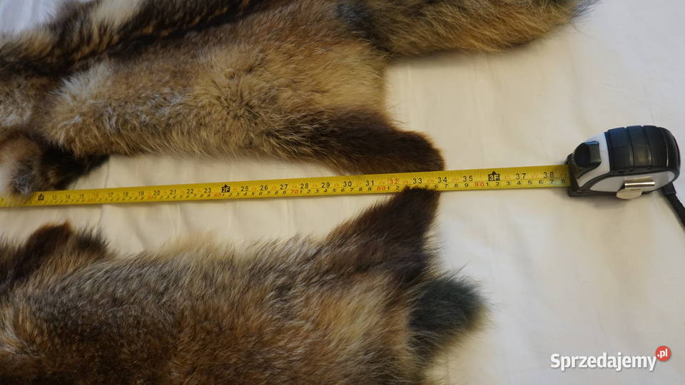 Jenot dwie piękne skóry Warszawa