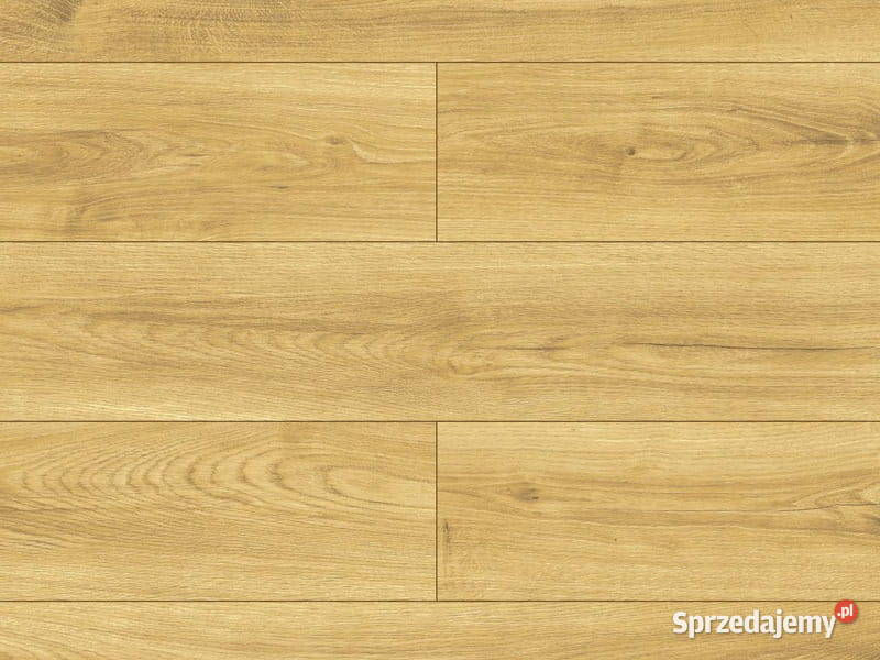 Panele winylowe i laminowane Doradzimy Wrocław