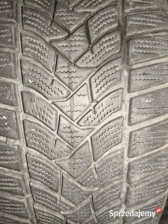 Dunlop Winter Sport 5 2155517 Rudnik