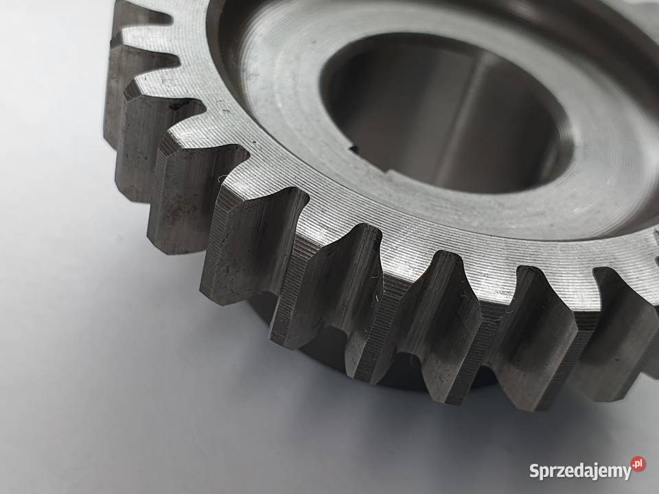 Tryb Walu Zebatka Beta 250 Łódź sprzedam