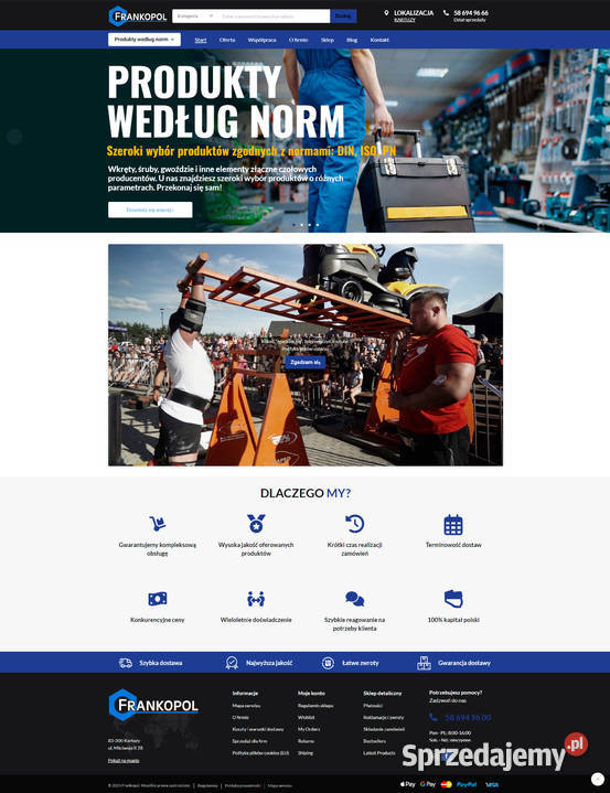 Wykonam strony www sklepy internetowe Gdynia