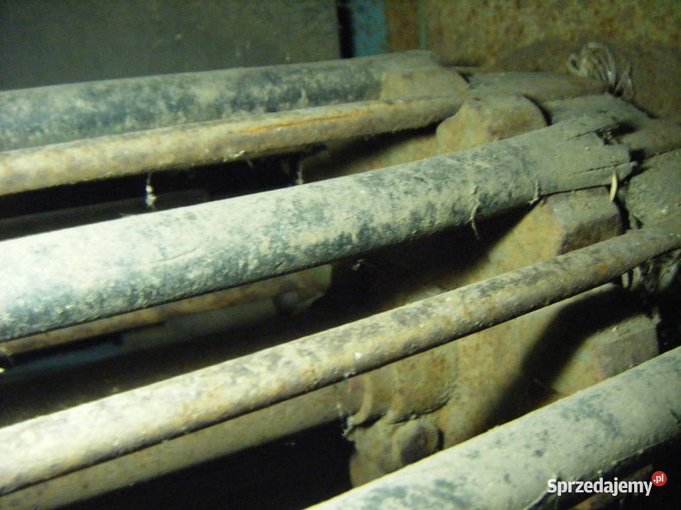 Kombajn ziemniaczany z614 dwuskibowy Anna z 614 Do ziemniaków i warzyw podlaskie Radziłów