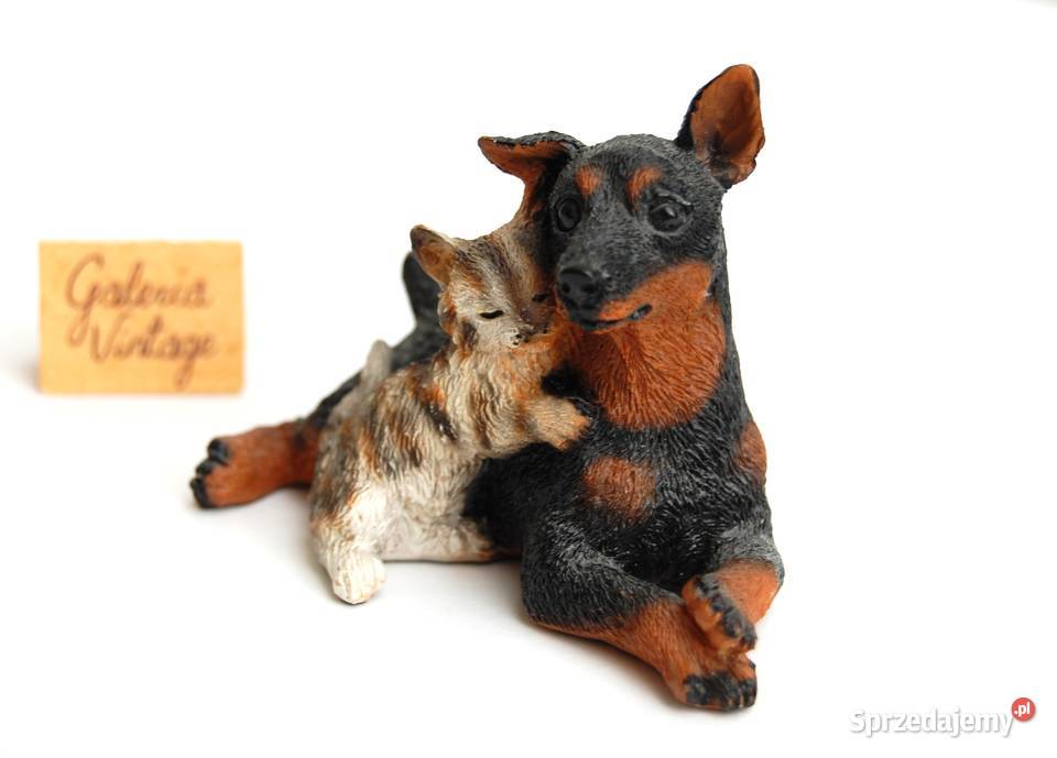 Pies i kot szczeniak doberman kotek figurka z Lublin