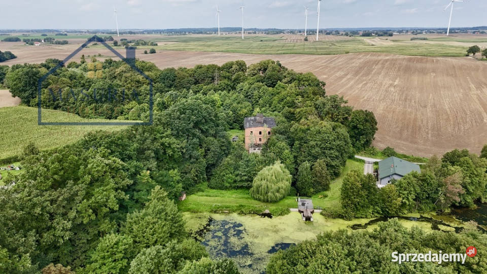 Wyjątkowy dawny Młyn rzeką Osą Babalice
