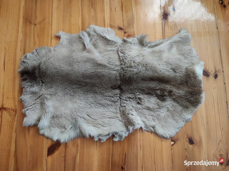 Skóra sarny Zamość