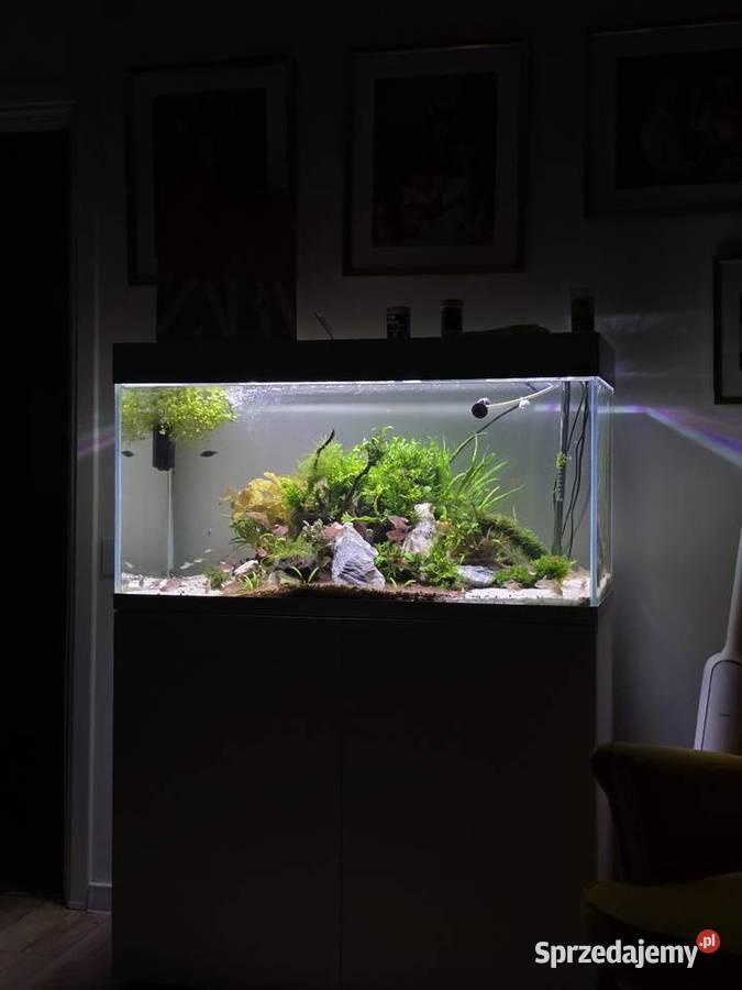 Akwarium200 L Kraków opti całość