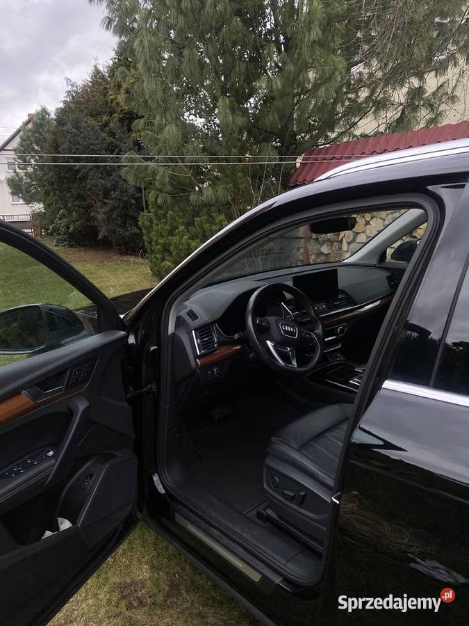 Audi Q5 Audi Q5 2021 doskonałe połączenie reflektory ksenonowe Q5 Zgorzelec