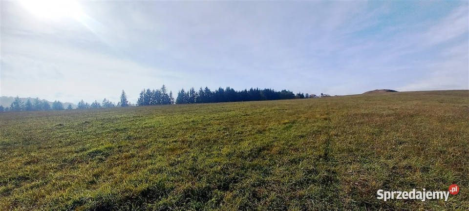 Widokowa działka Zagórze Śląskie