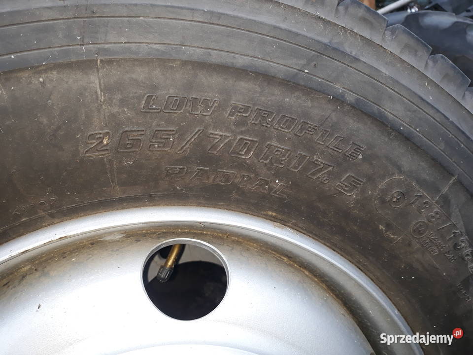 koła 26570r175 Legnica