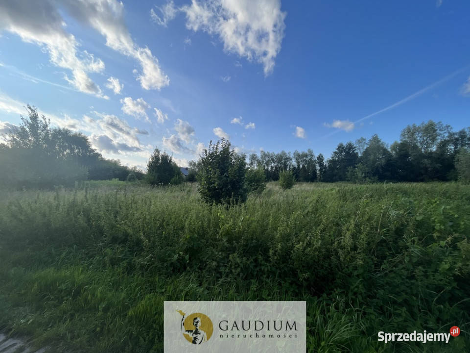 Działka na Żuławach I trasy S7 I 2500 m2 budowlana