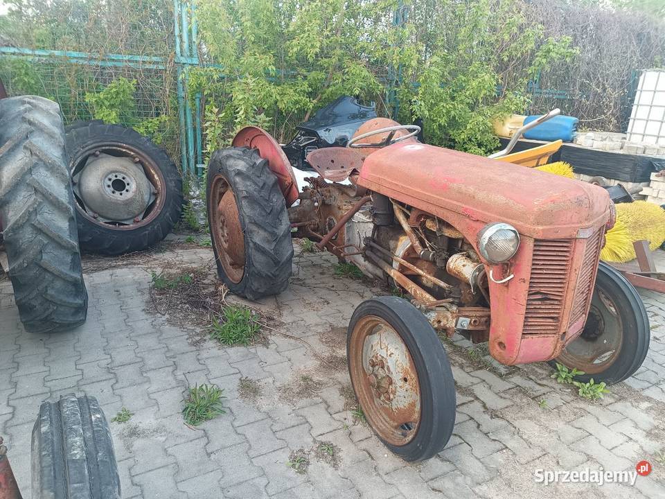 Ferguson Tea20 Białystok