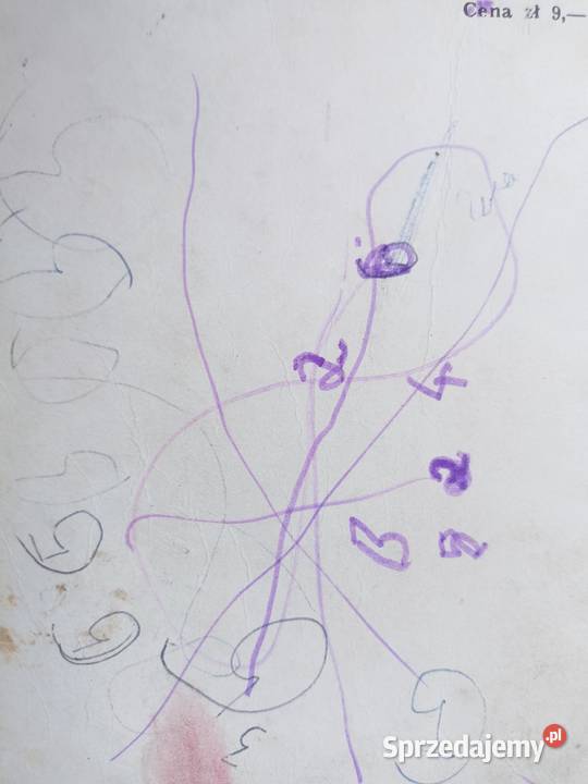 Wakacyjna przygoda książki Trójmiasto szkolne Gdańsk