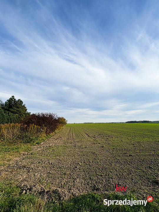 sprzedaży działki 2980m Czołowo