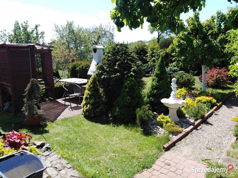 SPRZEDAM DZIAŁKĘ OGRODOWĄ ROD OLECKO sprzedam