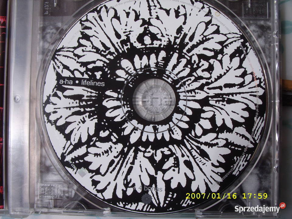 POP CD AHALIFELINES Wołów