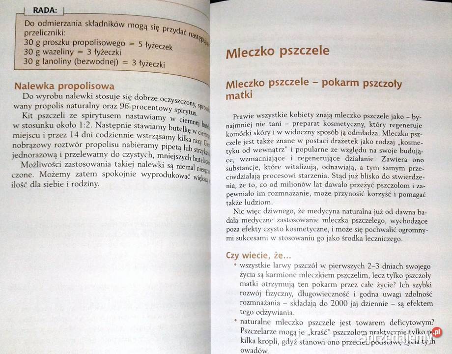 Leki z pszczelej apteki Stefan Stangaciu Elfi Chełm