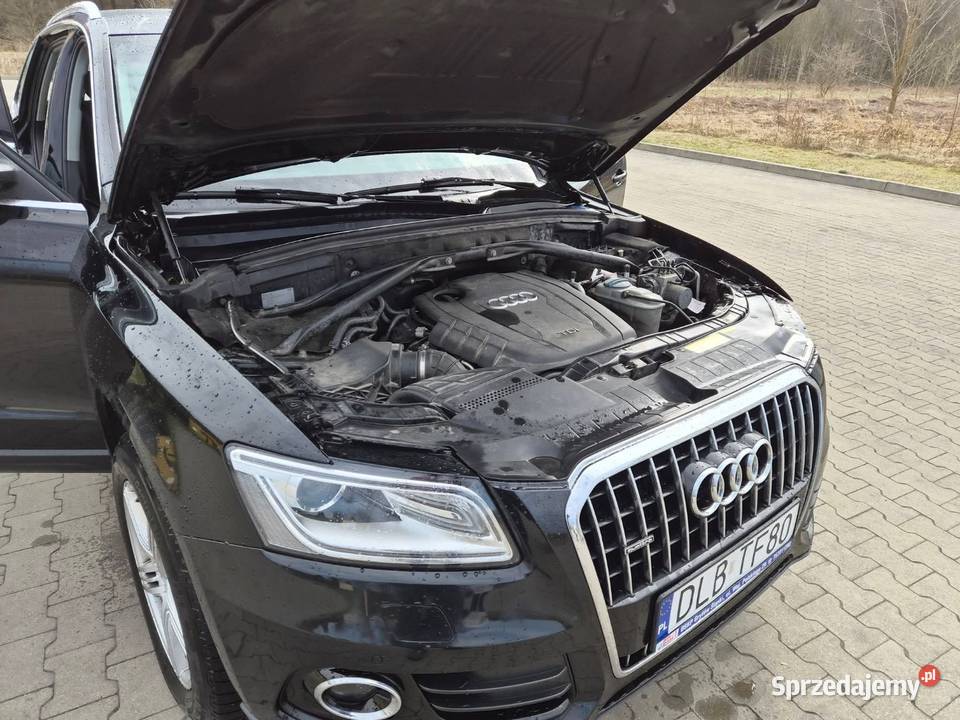 Sprzedam Audi Q5 20 TDI 2000cm3 dolnośląskie Leśna