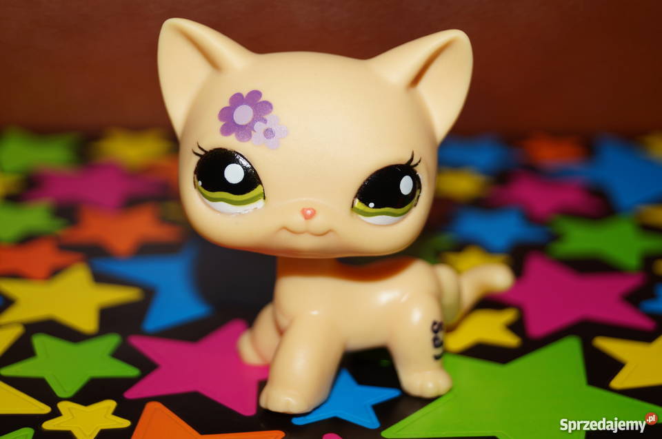 LPS shorthair UNIKAT 1962 Littlest Pet Shop kot śląskie sprzedam