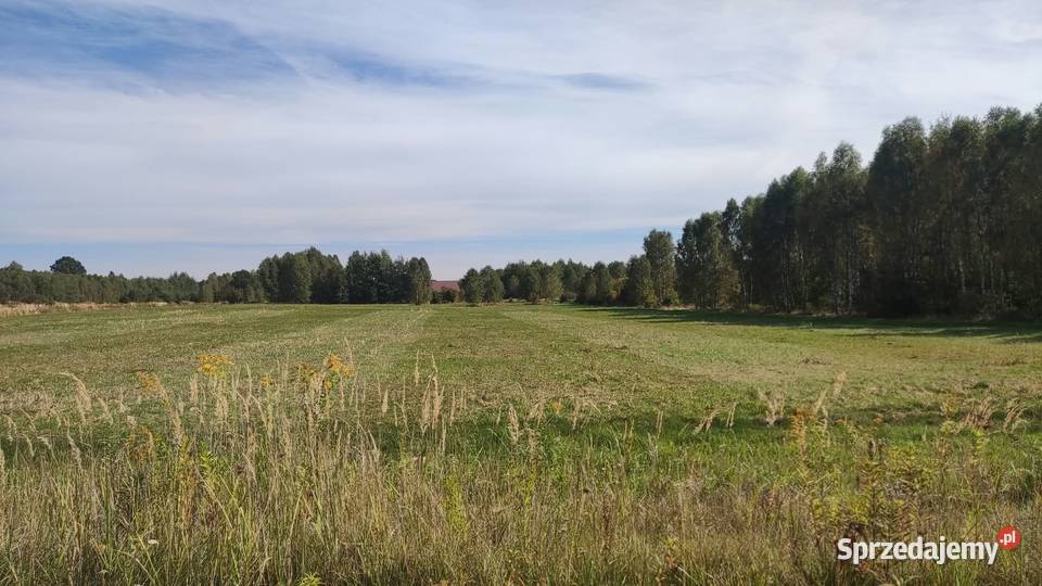 Wydźierżawie teren inwestycyjny